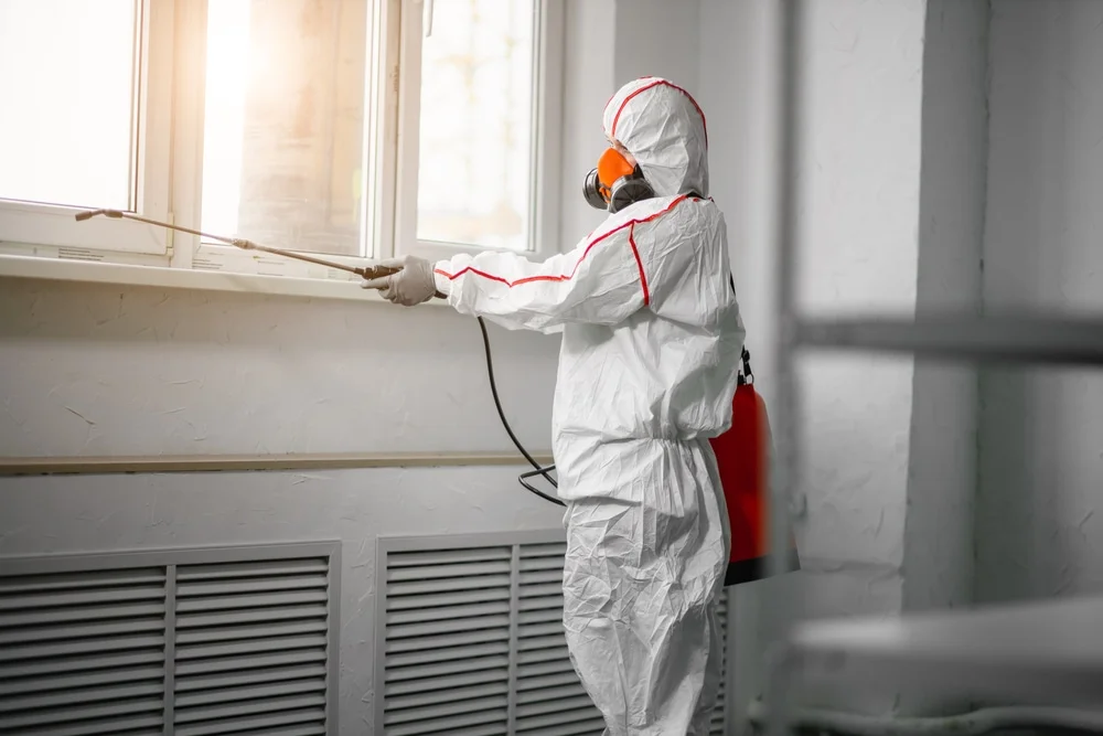 Professional mold remediation services in Spring Grove, MN